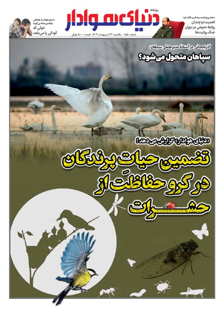 thumbnail of 1550s_163983