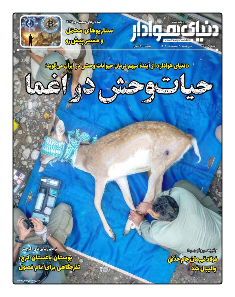 thumbnail of 1765 w_283520