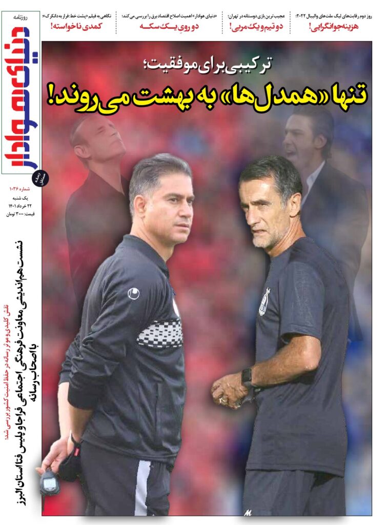 thumbnail of DH_No1036_w