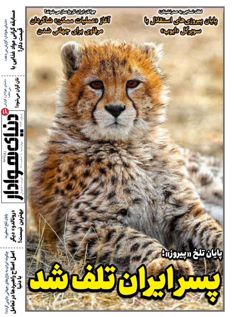 thumbnail of DH_No1243_w