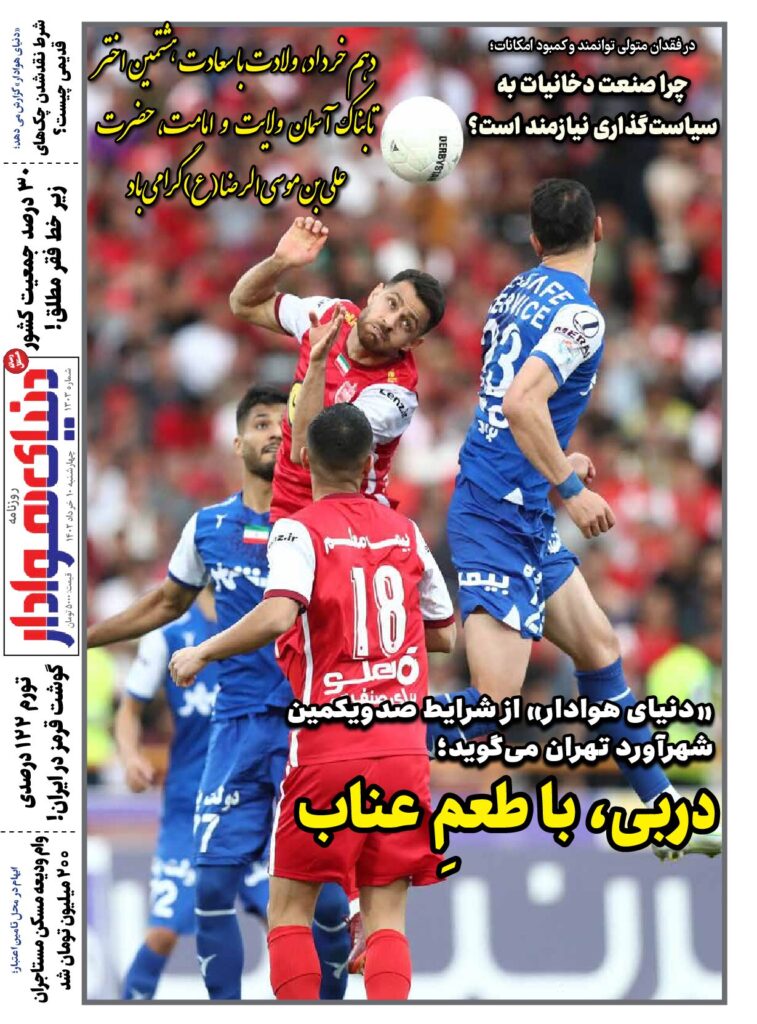 thumbnail of DH_No1303_w