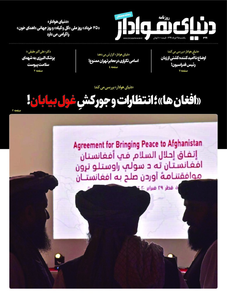 thumbnail of DH_No499_w